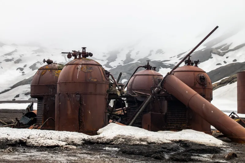 Why Are We Planning Mars Cities While Antarctica Sits Half-Empty?